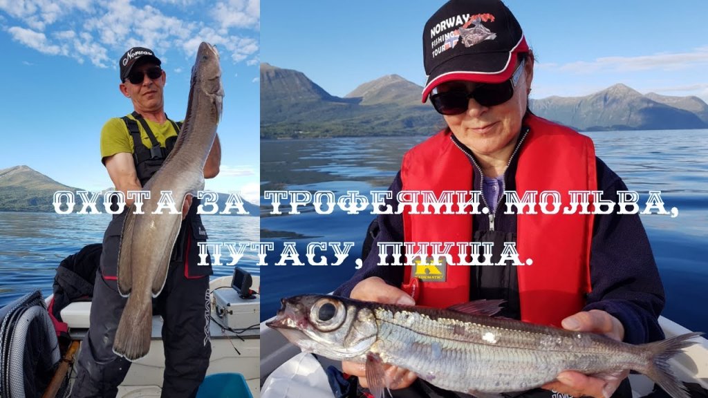 Охота за трофеями. Мольва, путасу, пикша. Охота за трофеями. Мольва, путасу, пикша.