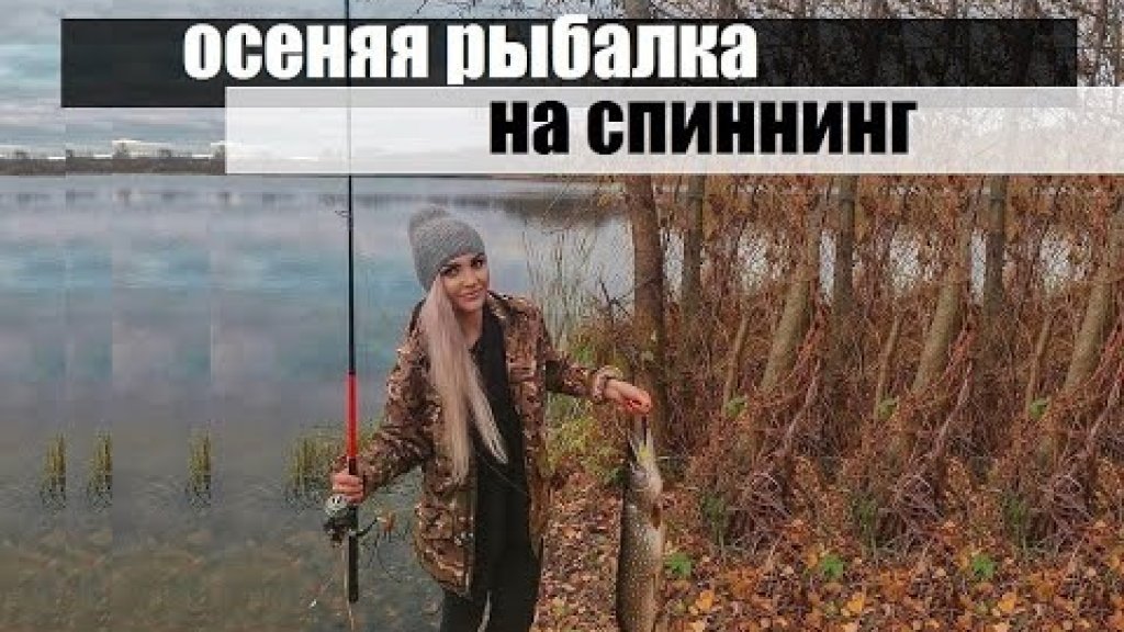 Осенняя рыбалка на спиннинг 🍂🎣 Осенняя рыбалка на спиннинг 🍂🎣