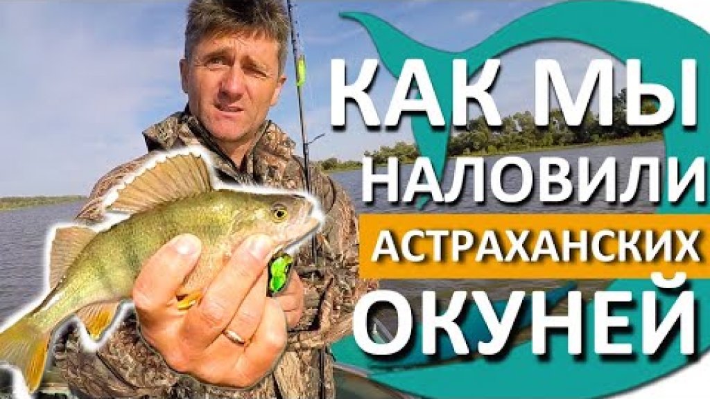 Рыбалка на ОКУНЯ. Астрахань 2020. Приманки на ОКУНЯ КОТОРЫЕ ЛОВЯТ. Ловим НА СИЛИКОН Рыбалка на ОКУНЯ. Астрахань 2020. Приманки на ОКУНЯ КОТОРЫЕ ЛОВЯТ. Ловим НА СИЛИКОН