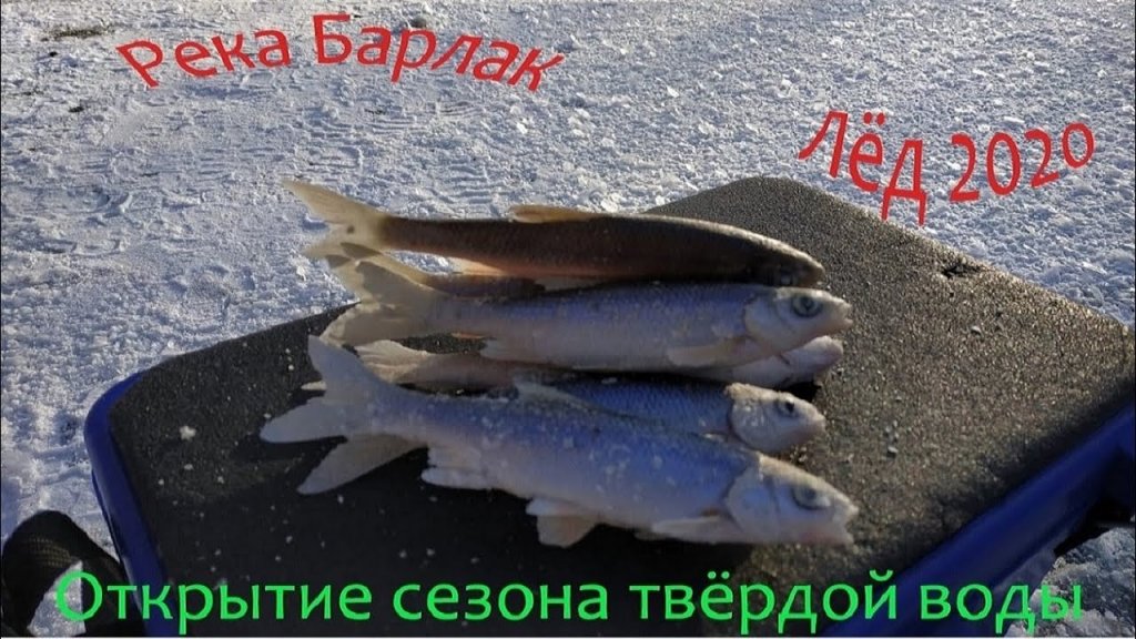 Открытие сезона твердой воды на реке Барлак, Плотва на мормышку Открытие сезона твердой воды на реке Барлак, Плотва на мормышку