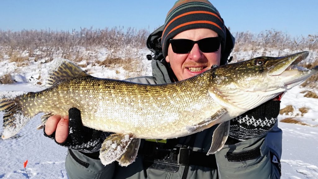 РЫБАЛКА НА ЖЕРЛИЦЫ! Первый лед 2020-2021, зимняя рыбалка на малой реке