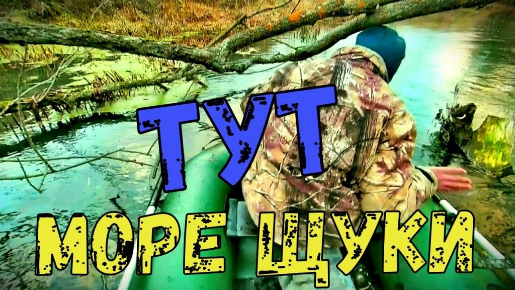 Щука на спиннинг Щука на спиннинг