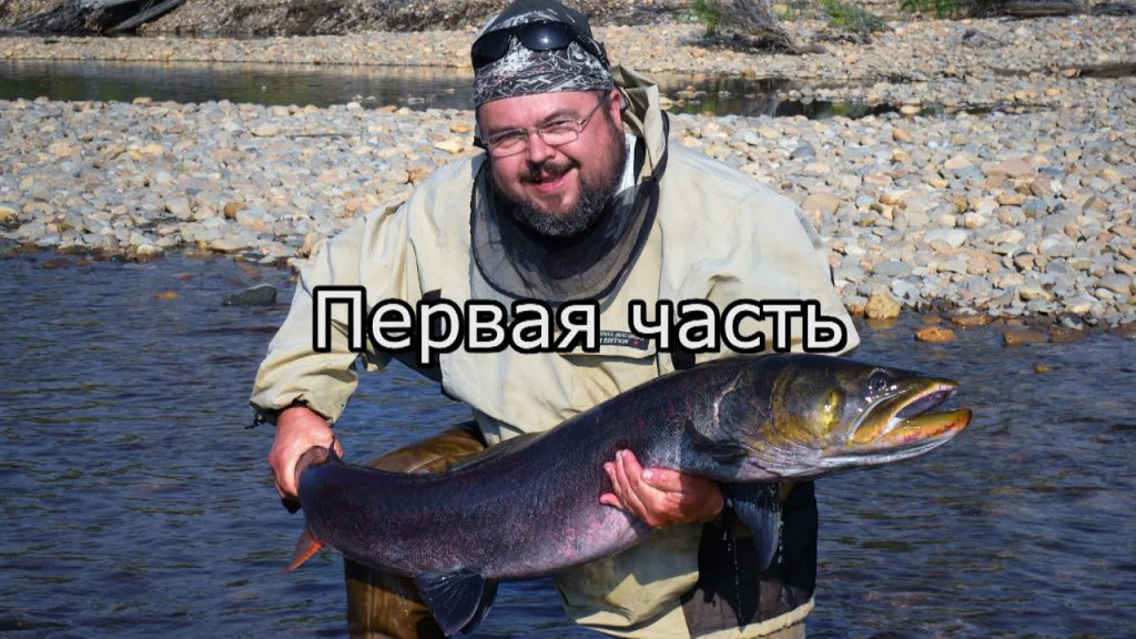 Таймени Станового хребта (1 часть). Заброска на реку Таймени Станового хребта (1 часть). Заброска на реку