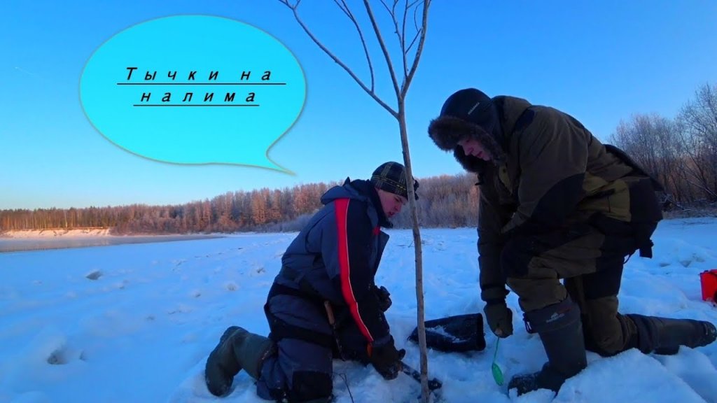 Рыбалка на налима! Ставим тычки Рыбалка на налима! Ставим тычки