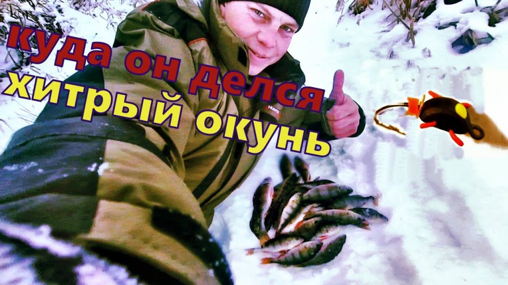 **РЫБАЛКА ЗИМОЙ**хитрый окунь**окунь на мормышку зимой**окунь на мотыля#рыбалказимой#окуньзимой# **РЫБАЛКА ЗИМОЙ**хитрый окунь**окунь на мормышку зимой**окунь на мотыля#рыбалказимой#окуньзимой#