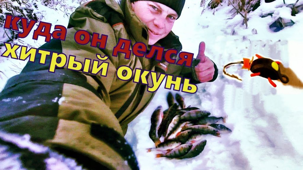 **РЫБАЛКА ЗИМОЙ**хитрый окунь**окунь на мормышку зимой**окунь на мотыля#рыбалказимой#окуньзимой#