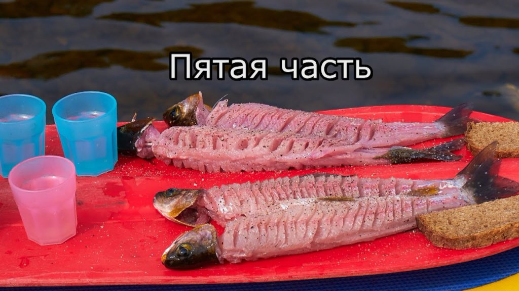 Таймени Стан. Хребта (5 часть). Зимний таймень Таймени Стан. Хребта (5 часть). Зимний таймень