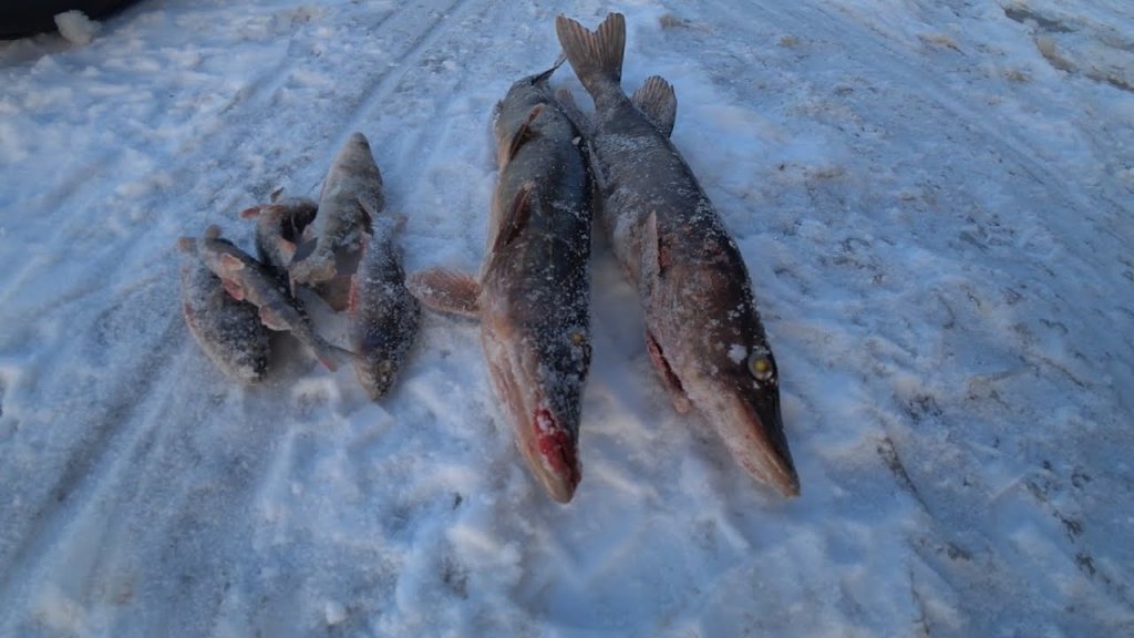 Рыбалка на таежном озере в мороз. Ставим жерлицы.