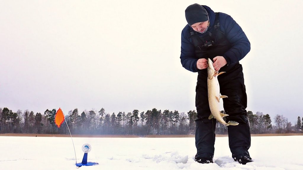 Щуки озера вуокса. Ловлю щуку на жерлицу.рыбалка в ленинградской области. Зимняя рыбалка.