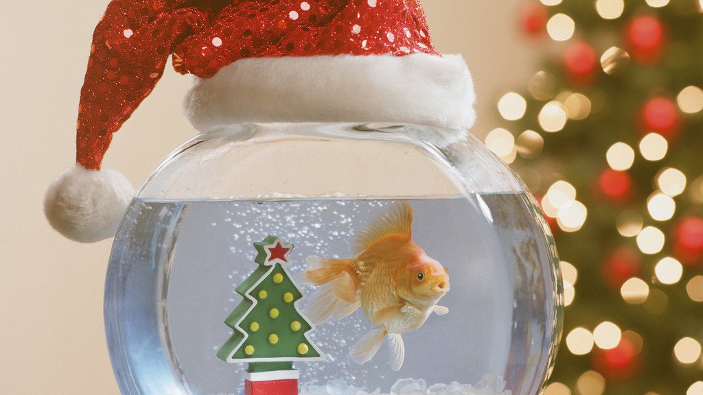 С новым годом!!! 🎄🎄🎄 С новым годом!!! 🎄🎄🎄