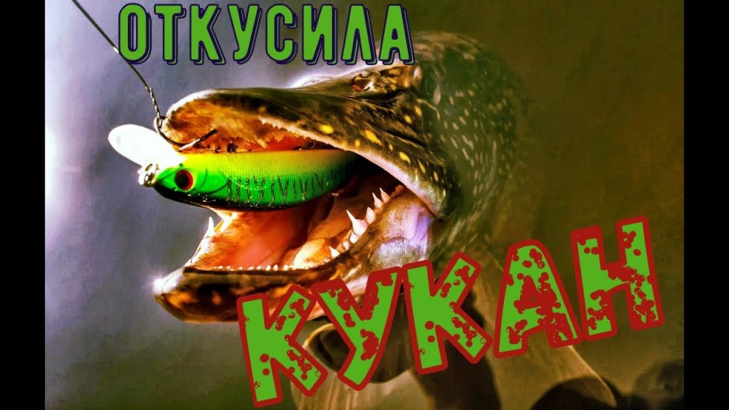 Щука откусила кукан