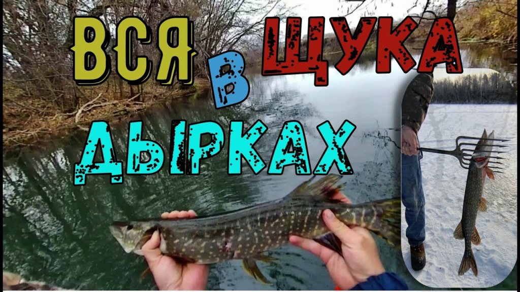 Щука в октябре Щука в октябре