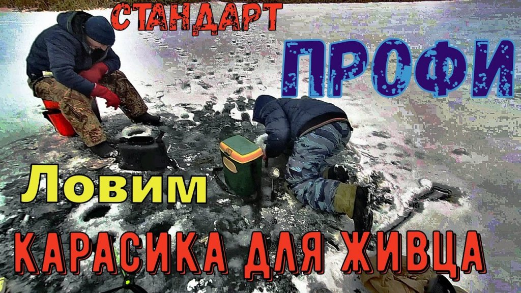 Ловля карася зимой со льда Ловля карася зимой со льда