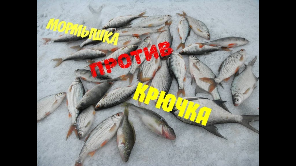 Зимняя рыбалка Зимняя рыбалка