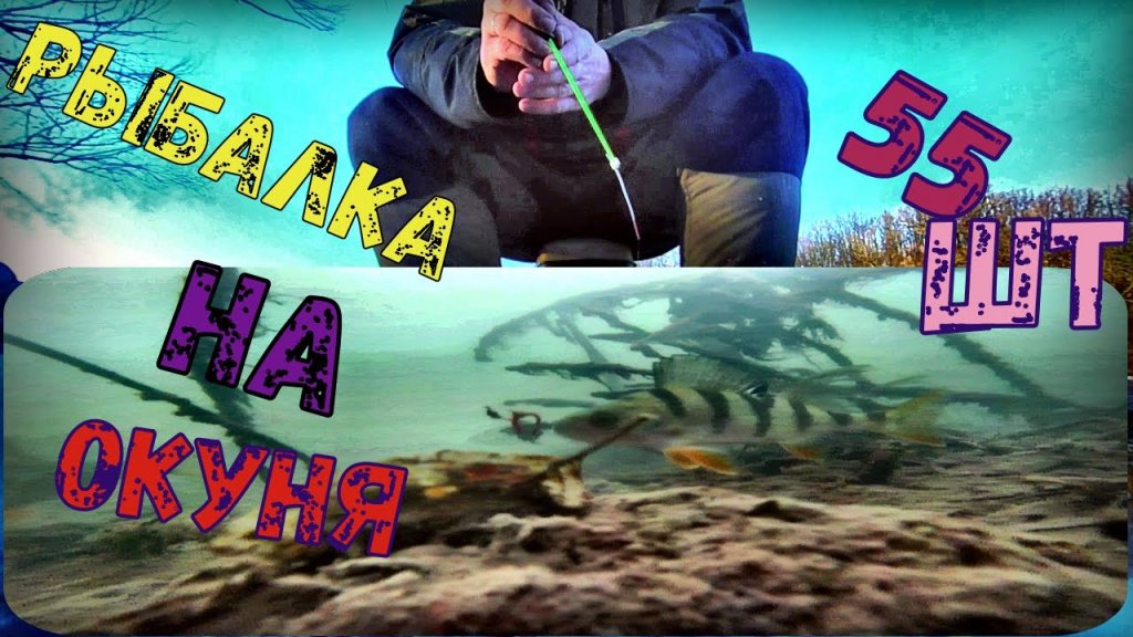 **КОСИМ ОКУНЯ **ЗИМНЯЯ РЫБАЛКА**ОКУНЬ**ЛЁД**ПеРвЫй ЛёД На РеЧкЕ#рыбалканальду#мормышка#плотва# **КОСИМ ОКУНЯ **ЗИМНЯЯ РЫБАЛКА**ОКУНЬ**ЛЁД**ПеРвЫй ЛёД На РеЧкЕ#рыбалканальду#мормышка#плотва#