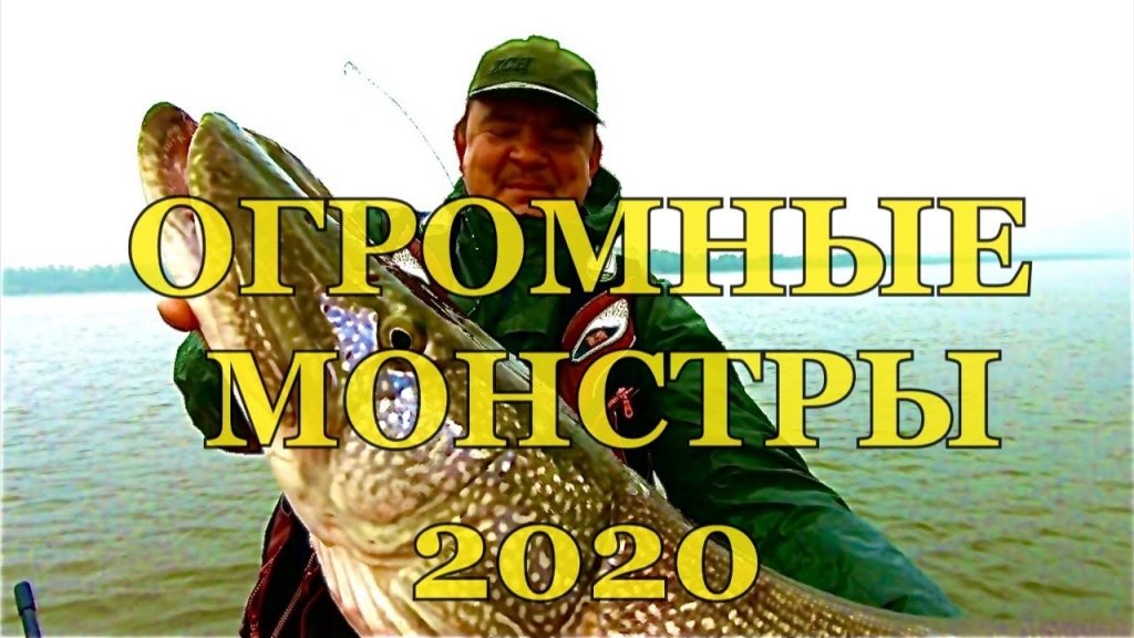 ОГРОМНАЯ ЩУКА здесь кишит. Рыбалка 2020. Рыбалке на спиннинг ОГРОМНАЯ ЩУКА здесь кишит. Рыбалка 2020. Рыбалке на спиннинг
