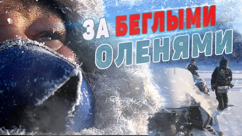 На защите стад. За беглыми оленями. На защите стад. За беглыми оленями.