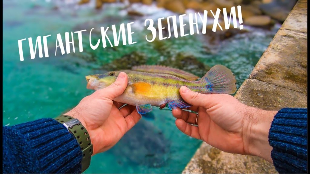 Рыбалка на Черном море / Я не знал, что они бывают такие большие / Зеленуха (РУЛЕНА)