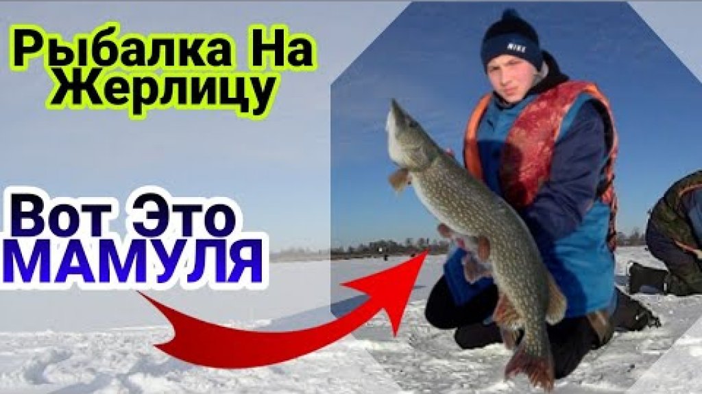 Рыбалка на жерлицы зимой | Ловля щуки на жерлицы ЗИМОЙ| ЗИМНЯЯ РЫБАЛКА 2021