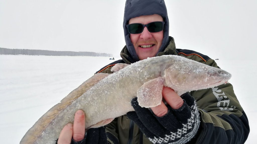 Рыбалка на судака, рыбалка в Сибири