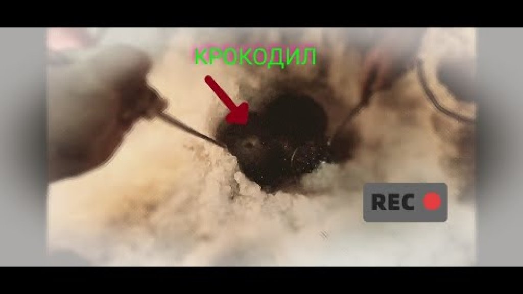 Уловистая снасть для трофеев. На что и как ловить зимой рыбу? Зимняя рыбалка Уловистая снасть для трофеев. На что и как ловить зимой рыбу? Зимняя рыбалка