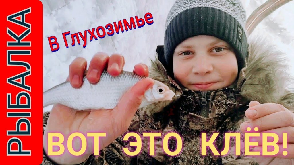 Насадка для плотвы. Продолжение эксперимента на рыбалке Насадка для плотвы. Продолжение эксперимента на рыбалке