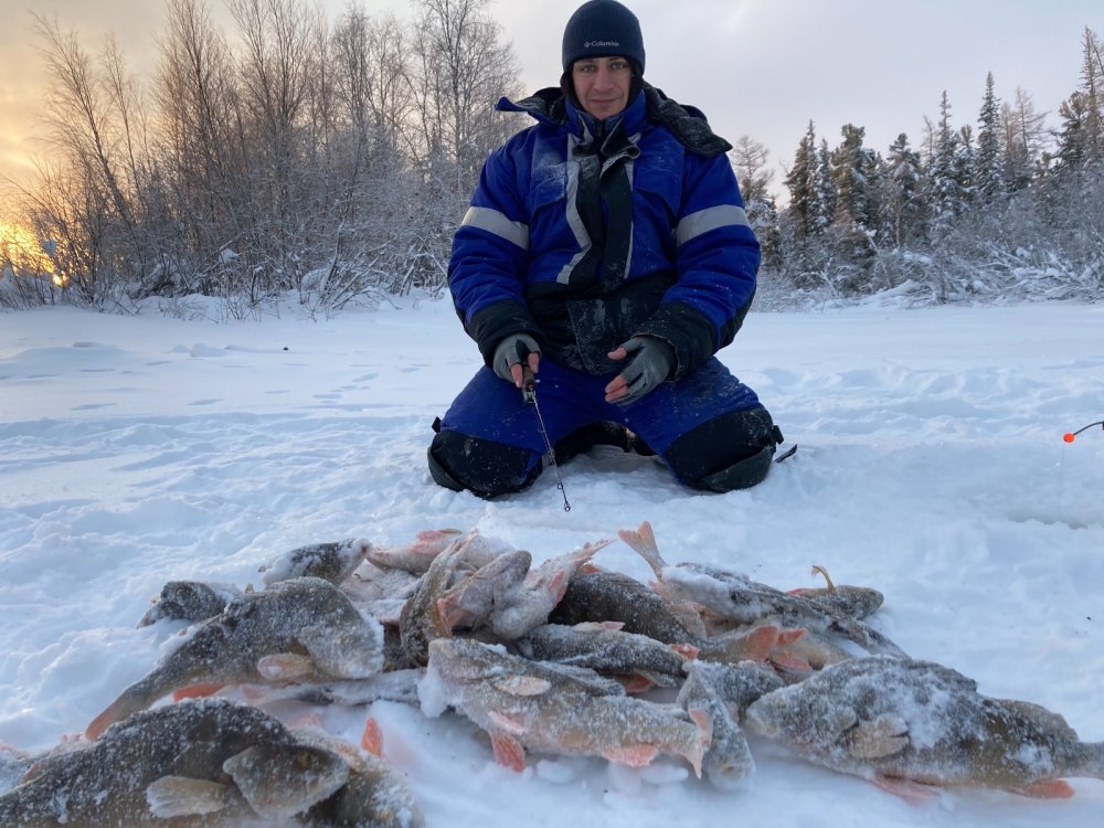 рыбалка в новосибирске видео зимняя на окуня