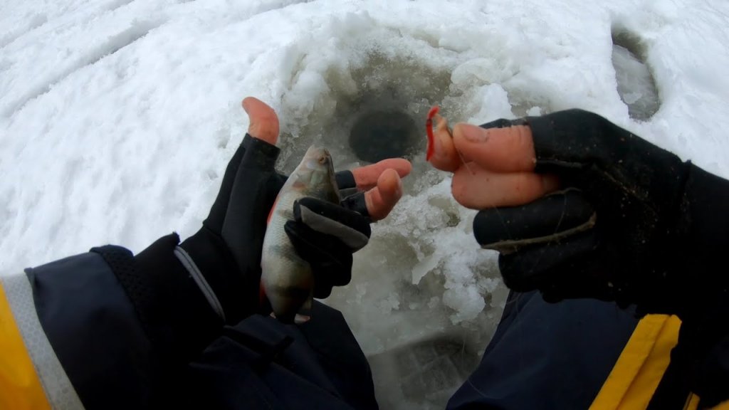 Зимняя рыбалка на Липовском озере.