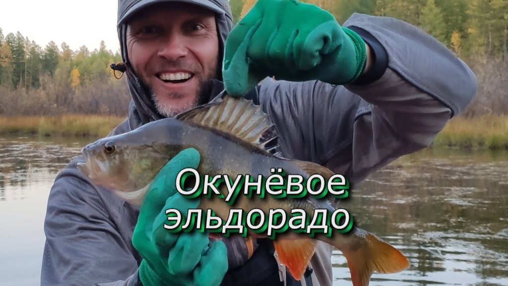 Окуневое Эльдорадо (из цикла фильма "Дикие таймени Станового хребта",10 часть-финальная) Окуневое Эльдорадо (из цикла фильма "Дикие таймени Станового хребта",10 часть-финальная)