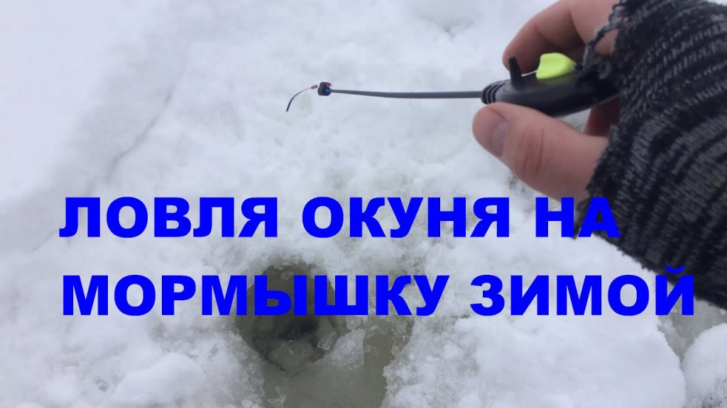 Ловля окуня на мормышку зимой