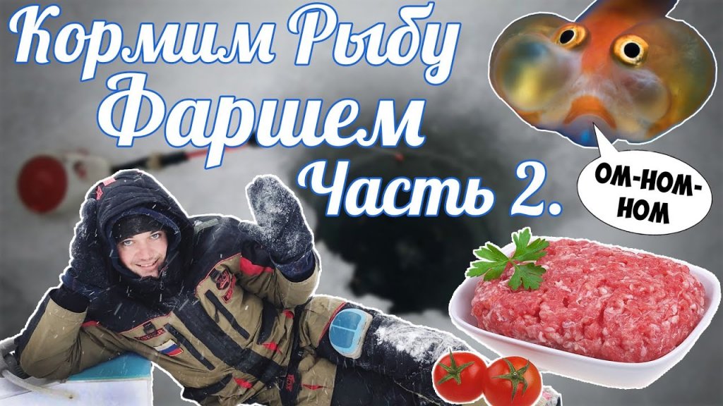 Этот фарш любит рыба! Секреты рыбалки, делаем фарш и кормим рыбу! Городская рыбалка.