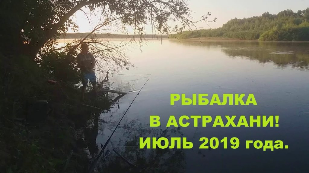 Рыбалка и отдых в астрахани июль 2019 года.