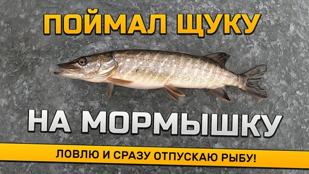 Ловля окуня от первого лица. Поймал щуку на мормышку!