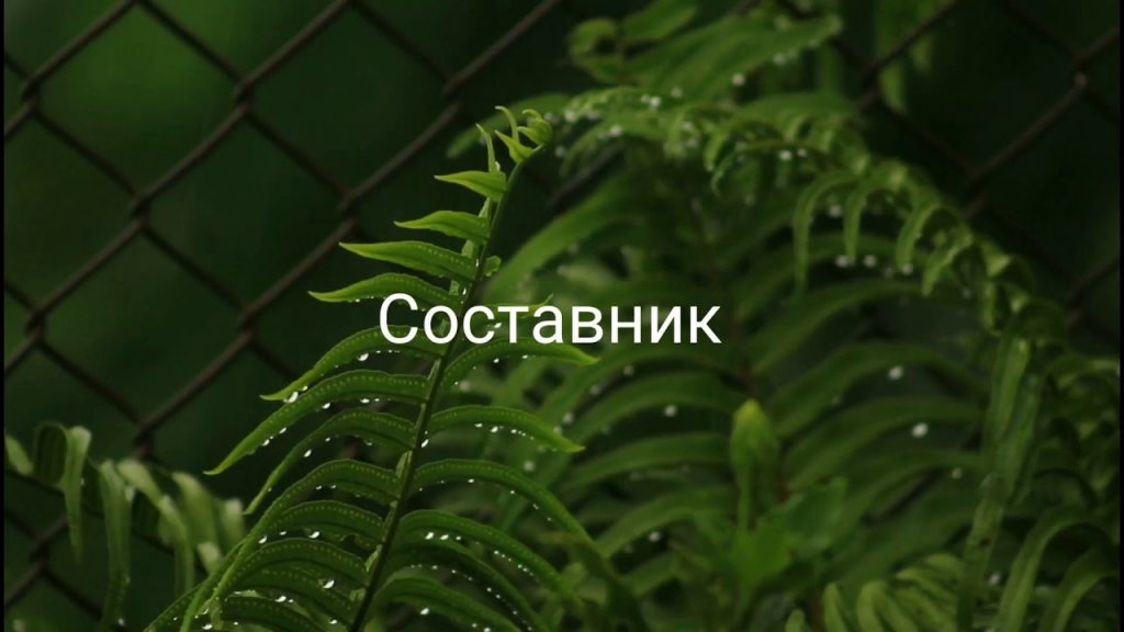 Воблер как сделать (пвх) Воблер как сделать (пвх)