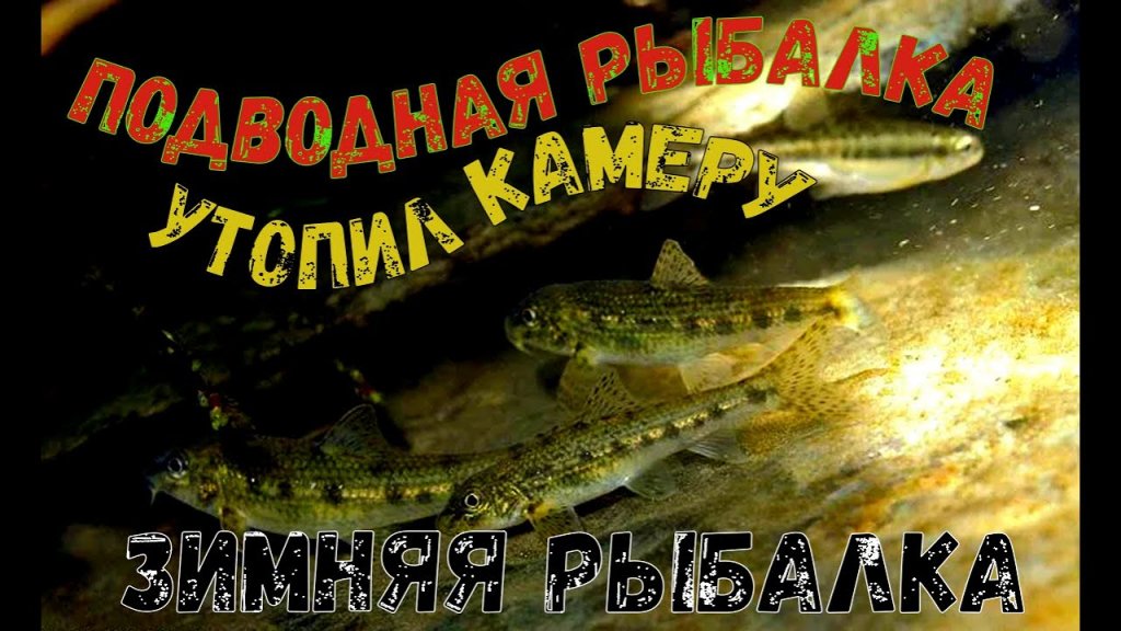 Подводные съемки. Утопил камеру. Зимняя рыбалка 2021 Подводные съемки. Утопил камеру. Зимняя рыбалка 2021