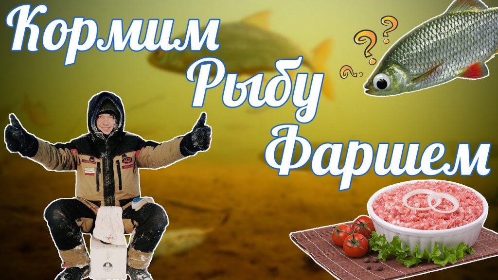 Кормим рыбу фаршем! Такого эффекта я не ожидал. Даже сига поймал! Шикарная рыбалка, злые поклёвки!