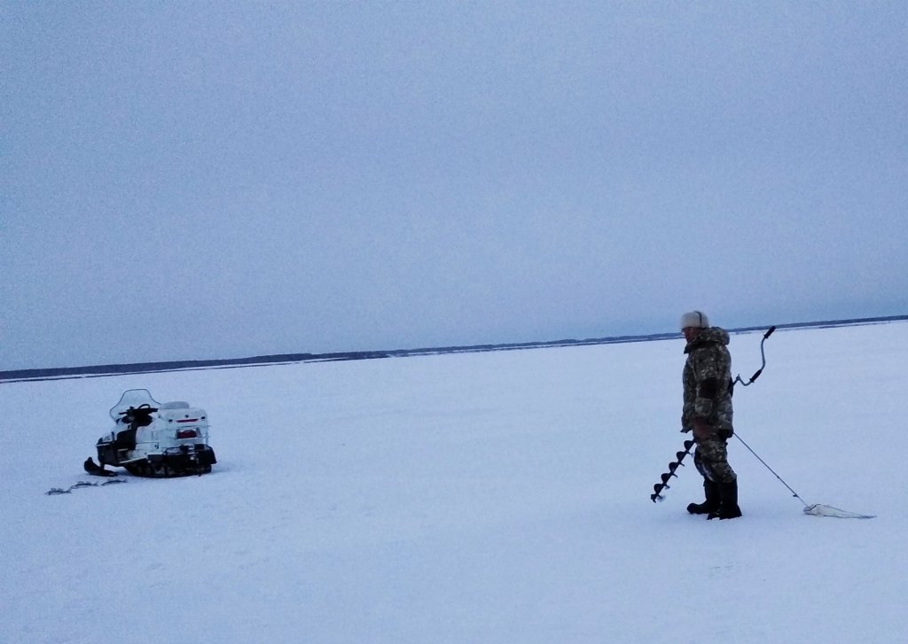 Где то посередине ОВХ