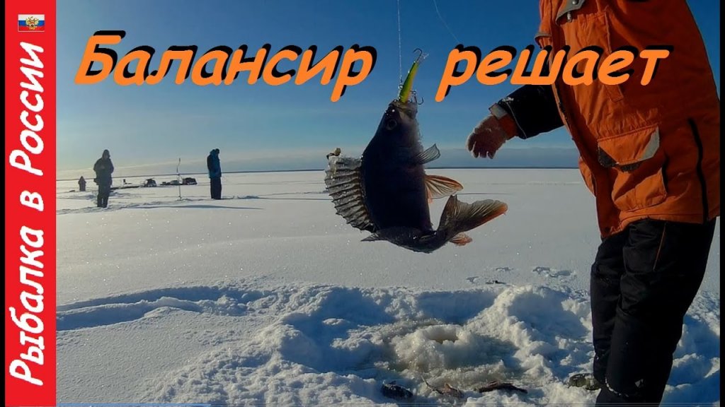 Ловля хорошего окуня зимой на балансир. Бешеный клёв на лучший балансир ! Ловля хорошего окуня зимой на балансир. Бешеный клёв на лучший балансир !