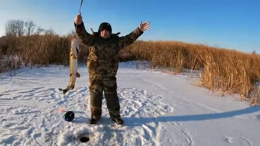 Новинки зимней рыбалки видео. Снаряжение начинающего рыбака. Снасть арбалет для зимней рыбалки. Ловля леща на арбалет зимой видео.
