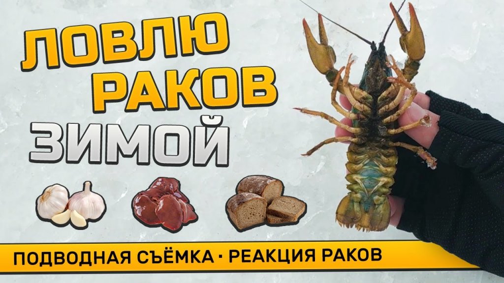 Ставлю раколовку под лёд! Реально ли поймать рака зимой? Как реагирует рак на чеснок и печень Ставлю раколовку под лёд! Реально ли поймать рака зимой? Как реагирует рак на чеснок и печень