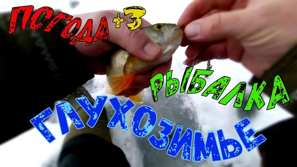 Зимняя рыбалка погода +3 глухозимье