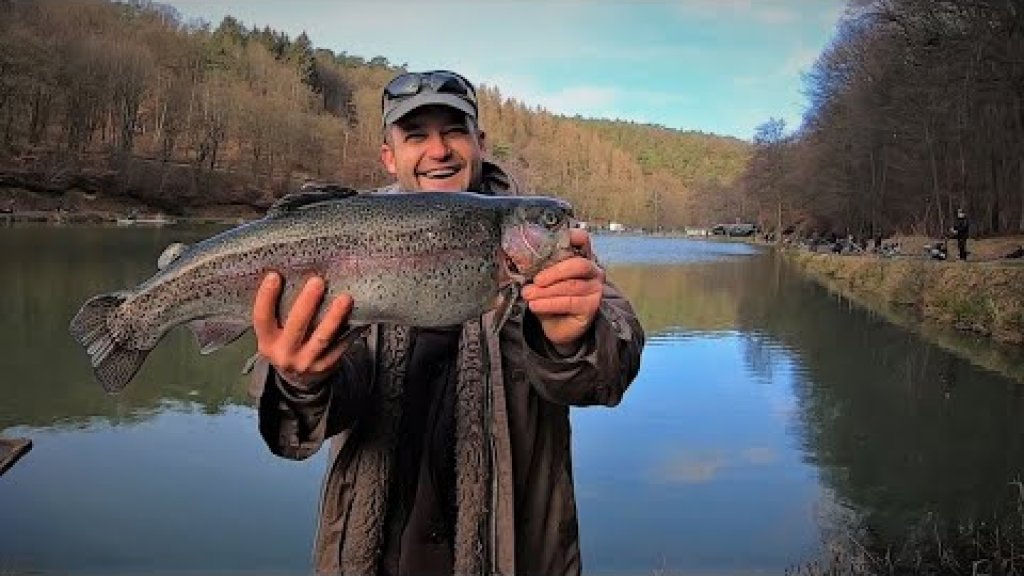 Такой "результативной" рыбалки у меня ещё не было. Trout area.