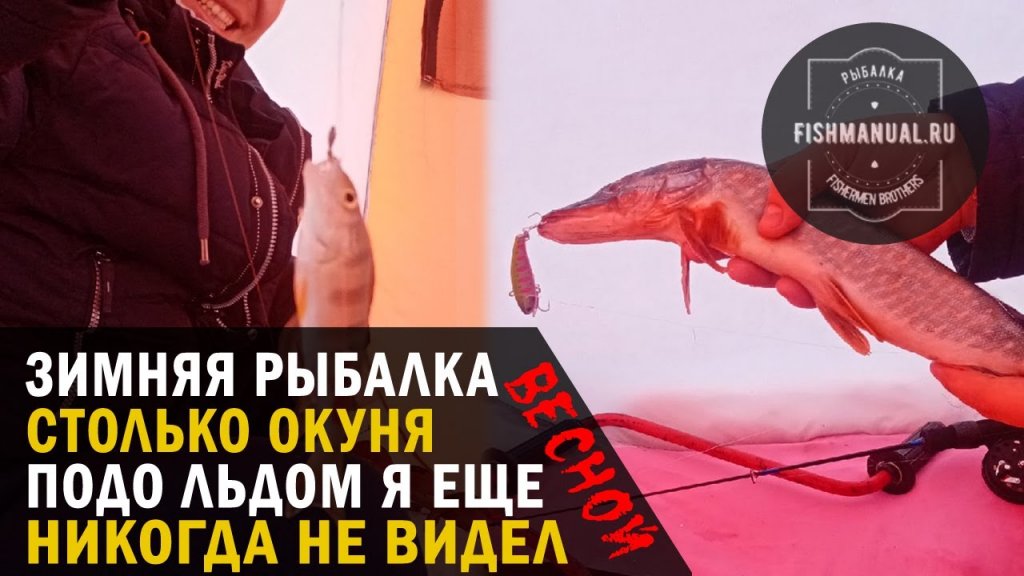 Ведро окуня на китайский ратлин