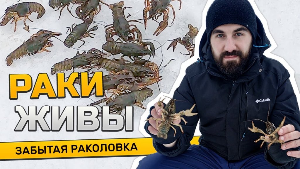 Достал забытую раколовку, очистил озеро и спас раков Достал забытую раколовку, очистил озеро и спас раков