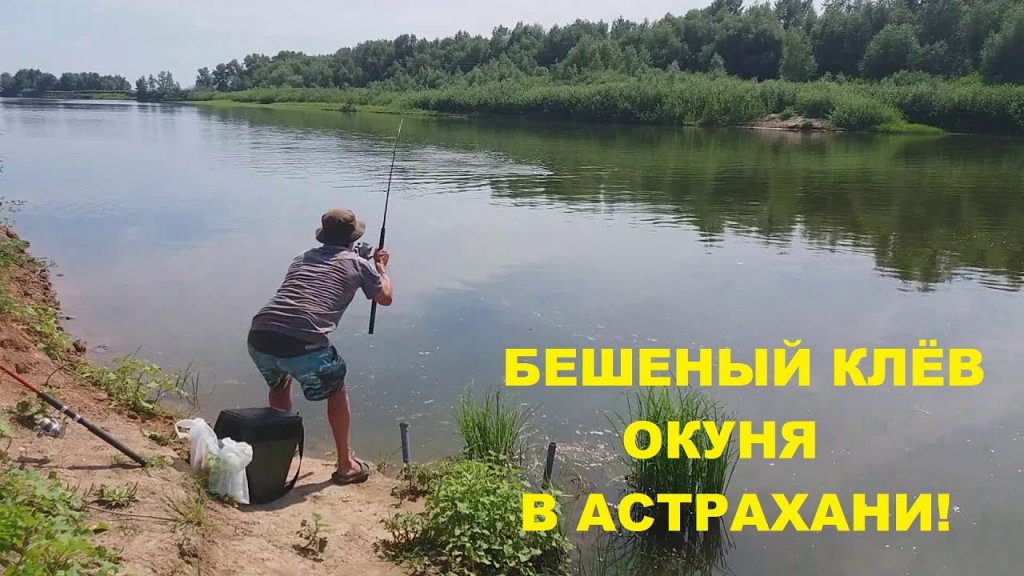 Бешеный клев окуня на донку в астрахани!