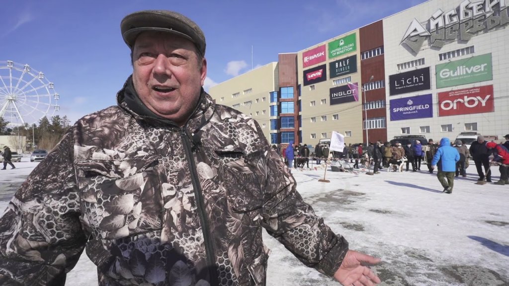 Республиканская выставка охотничьих лаек «Лайки Якутии 2021» Западно-сибирские лайки. Республиканская выставка охотничьих лаек «Лайки Якутии 2021» Западно-сибирские лайки.