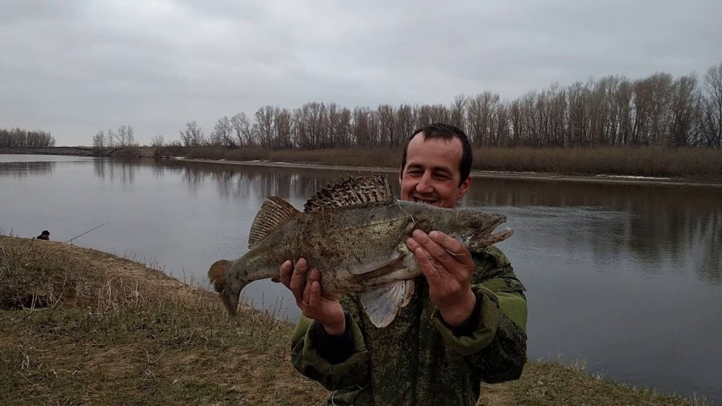 Два дня шикарной рыбалки на судака и щуку в Астраханской области! Рыбалка с берега на спиннинг. Джиг