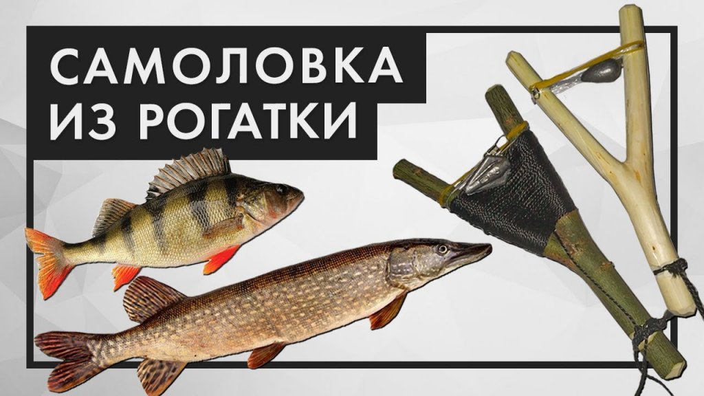 Как сделать самоловку из рогатки. Летняя жерлица для ловли щуки Как сделать самоловку из рогатки. Летняя жерлица для ловли щуки