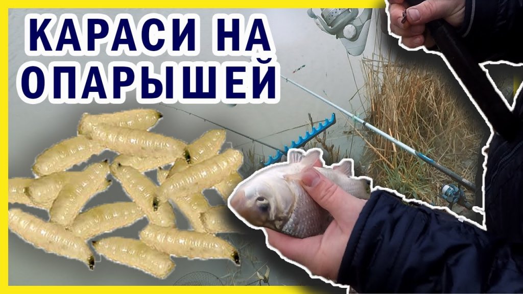 Рыбалка на канале ЮМС.  Краснодарский край