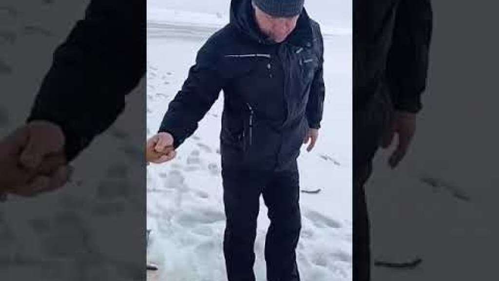 Ловля гольца зимой Ловля гольца зимой